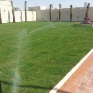 أفضل شركة شبكات ري في الدمام