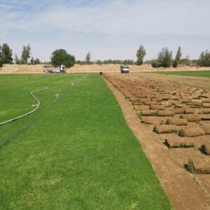 أفضل شركة شبكات ري في الدمام