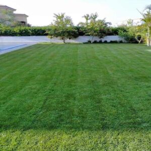 أفضل شركة شبكات ري في الدمام