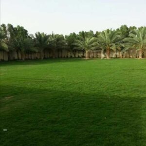 تنسيق حدائق فلل واستراحات