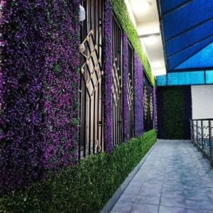 عشب جداري للأسطح بالدمام