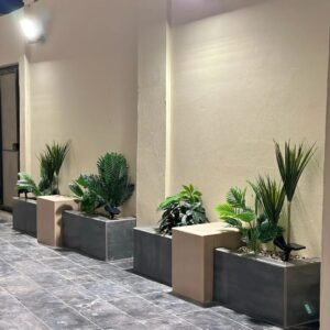 توريد نباتات زينة بالرياض