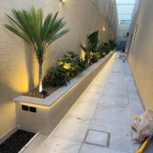 توريد نباتات زينة بالرياض